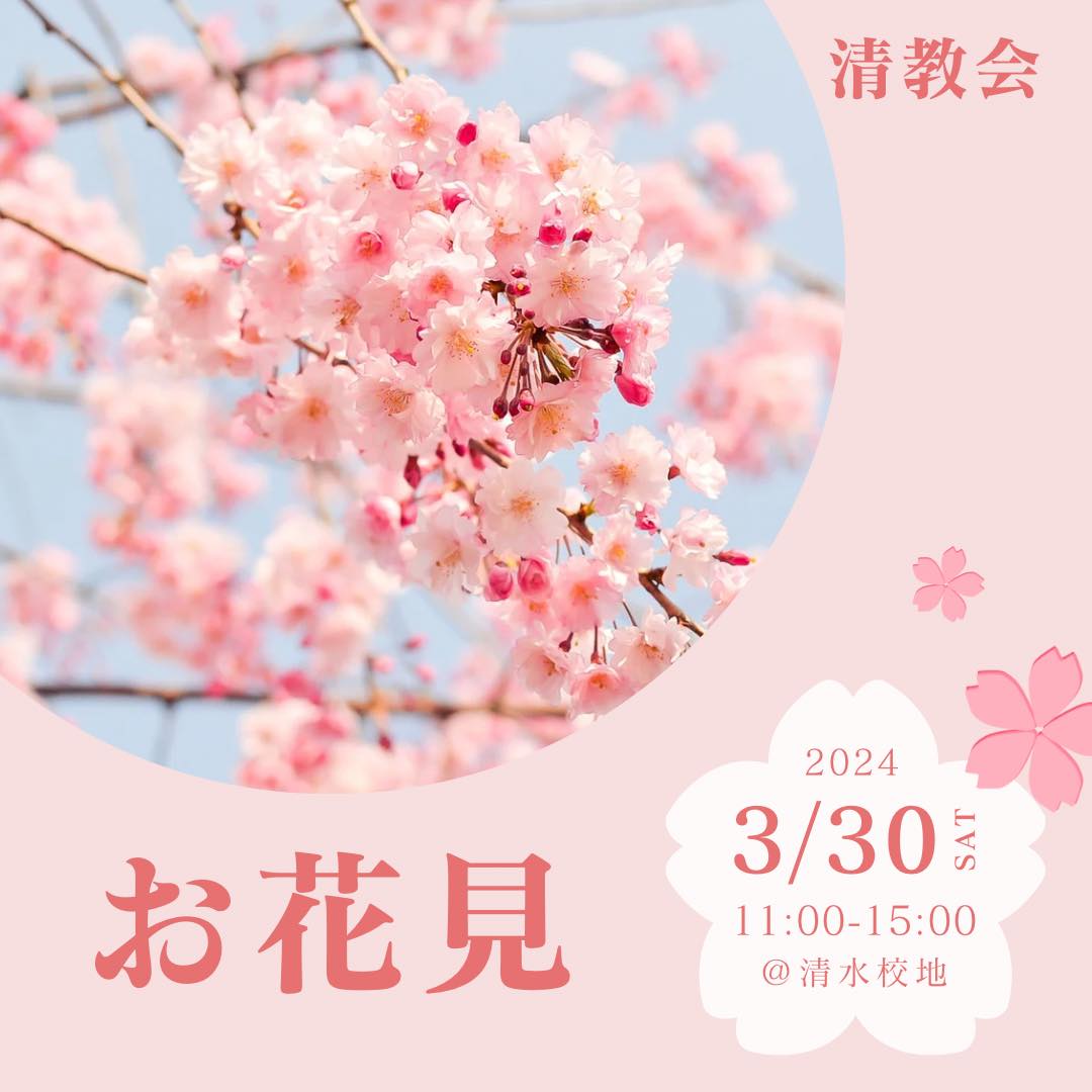 hanami2024.jpg